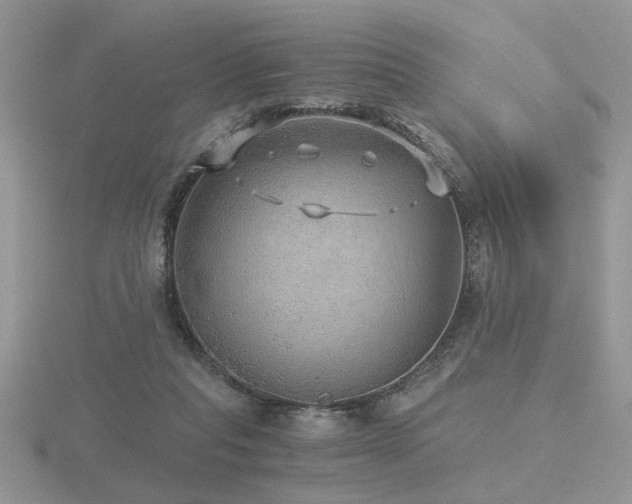 X0000116480261200912091406