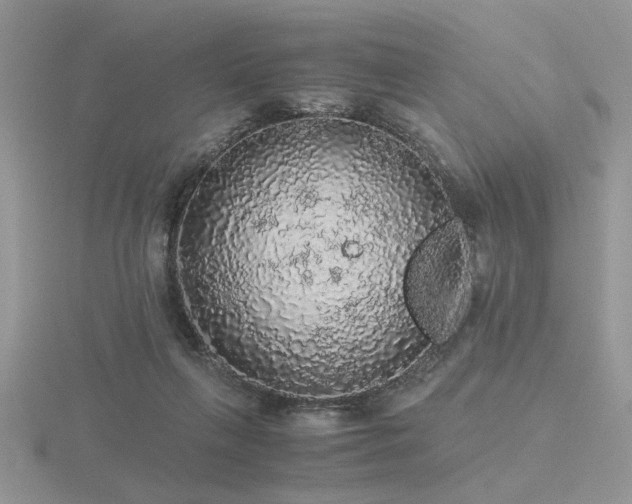 X0000116480263200912091406