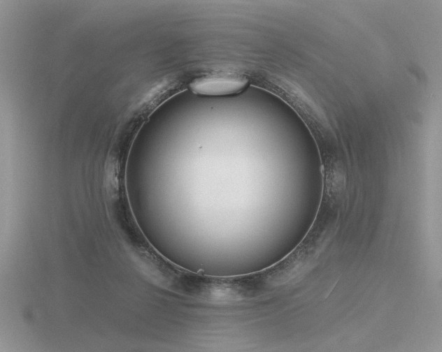 X0000116480264200912091406