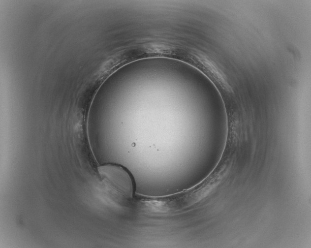 X0000116480265200912091406