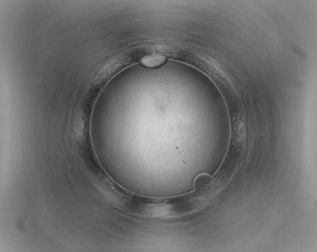 X0000116480266200912091406