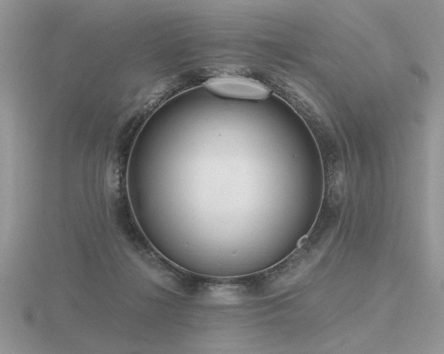 X0000116480268200912091406