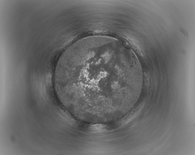 X0000116480269200912091406