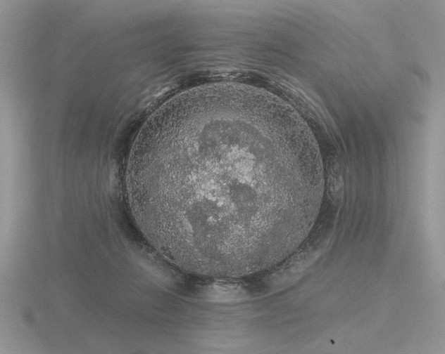 X0000116480270200912091406