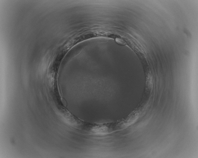 X0000116480271200912091406