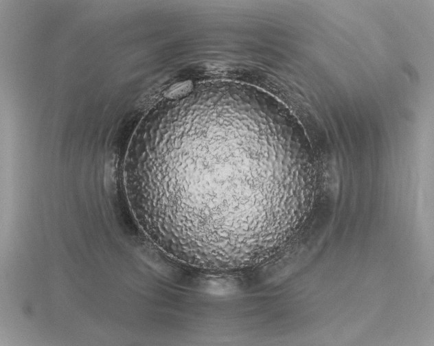 X0000116480275200912091406