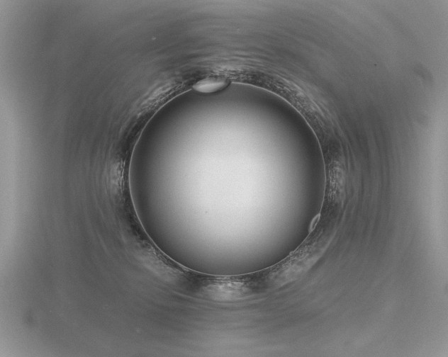 X0000116480278200912091406