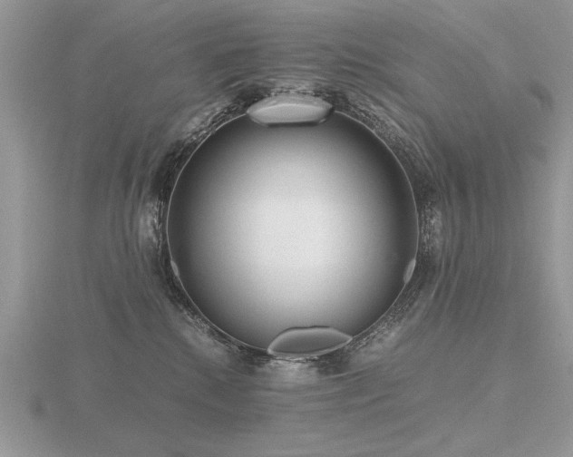 X0000116480280200912091406