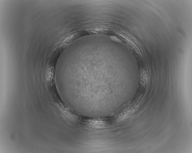 X0000116480284200912091407