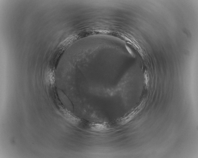 X0000116480285200912091407