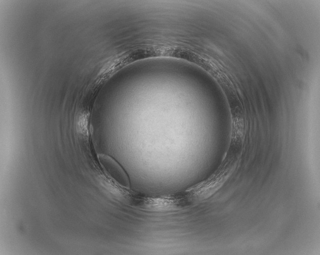 X0000116480286200912091407