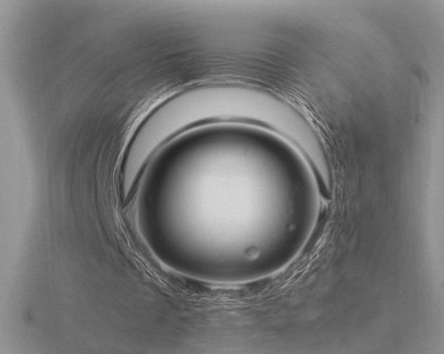 X0000116480289200912091406