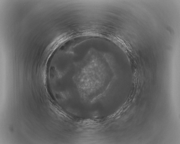 X0000116480290200912091406