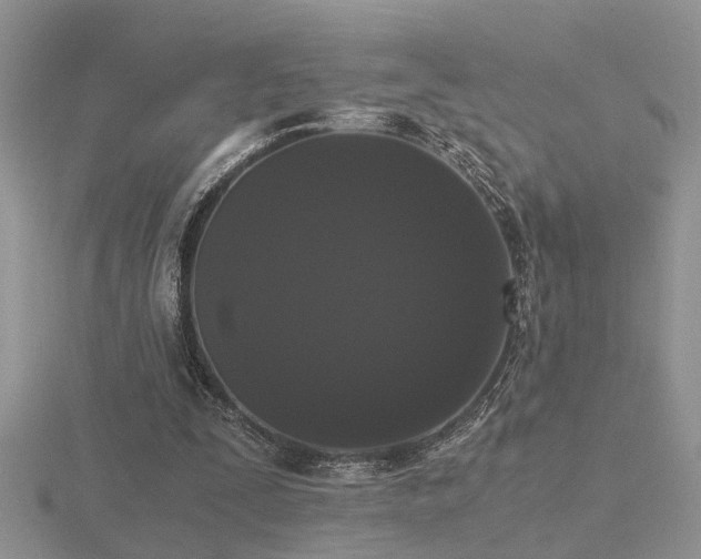 X0000116480295200912091406