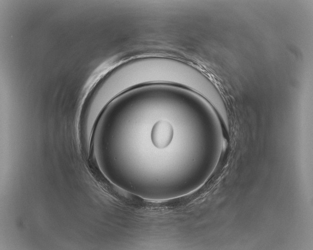 X0000116480296200912091406