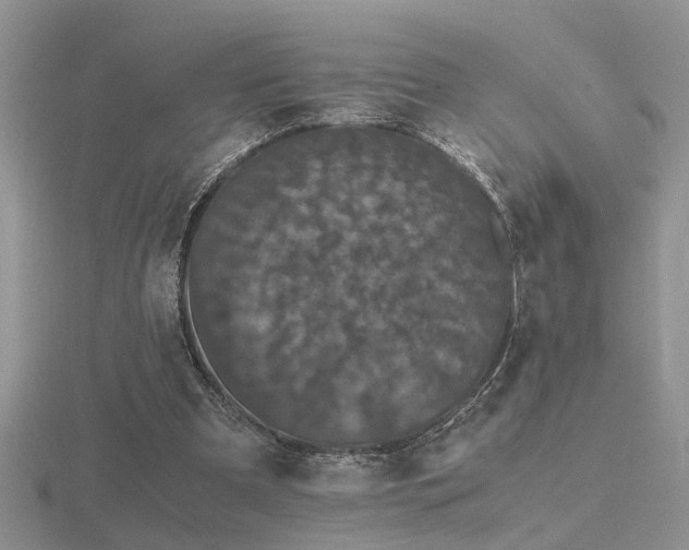 X0000116480297200912091406