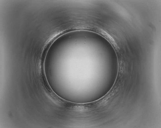 X0000116480298200912091406