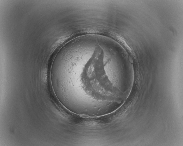 X0000116480299200912091406