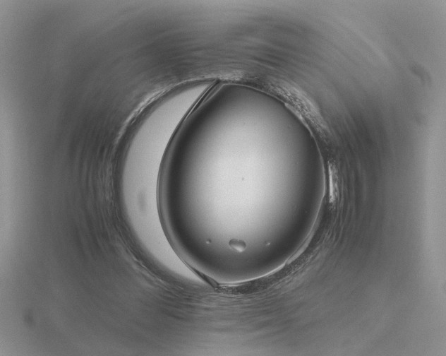 X0000116480300200912091406