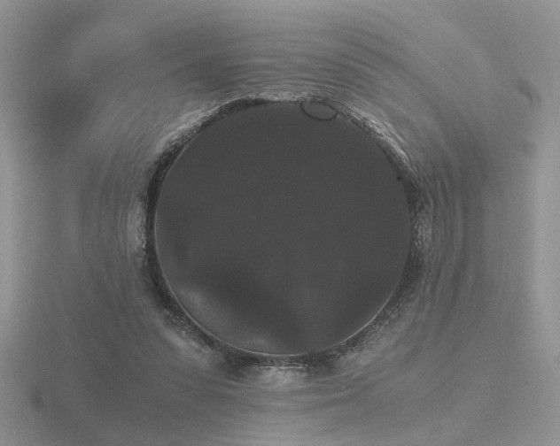 X0000116480303200912091406