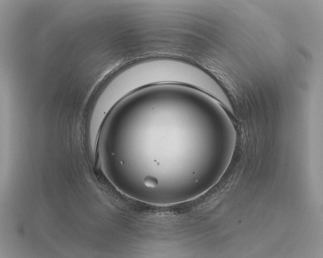 X0000116480304200912091406