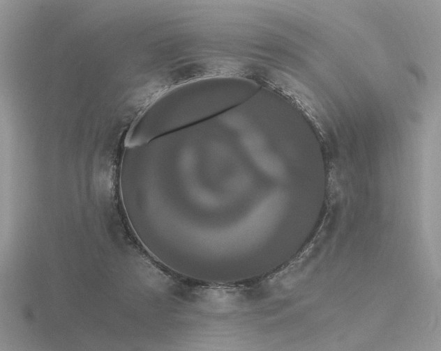 X0000116480305200912091406