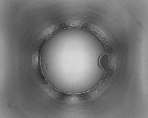 X0000116480310200912091406