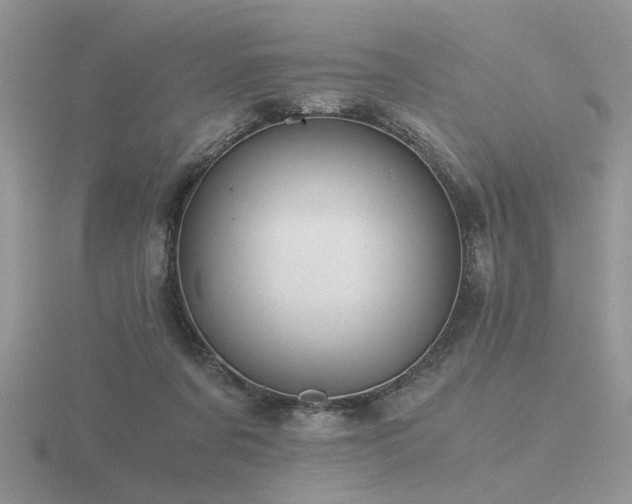 X0000116480311200912091406