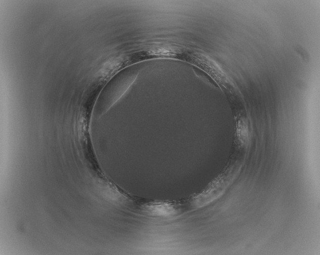 X0000116480322200912091405