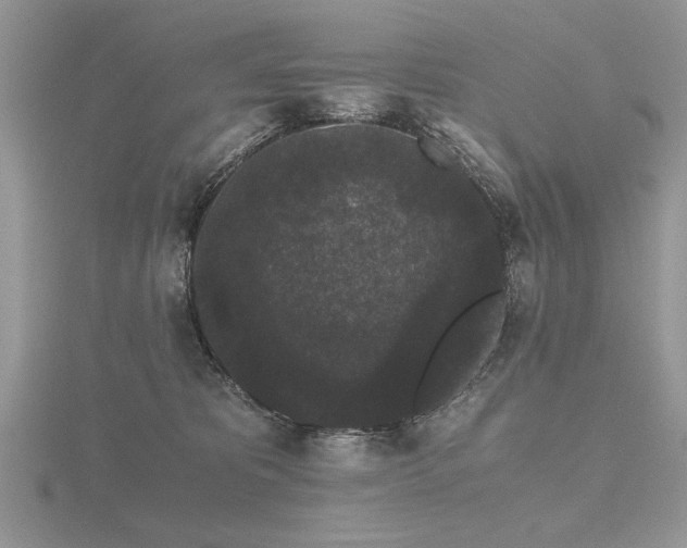 X0000116480325200912091405