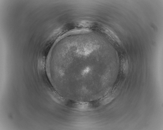 X0000116480328200912091405