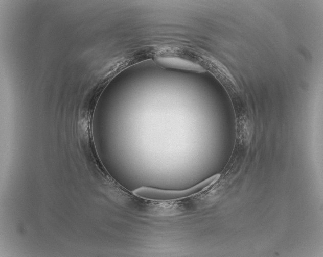 X0000116480329200912091405