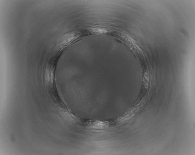 X0000116480330200912091405