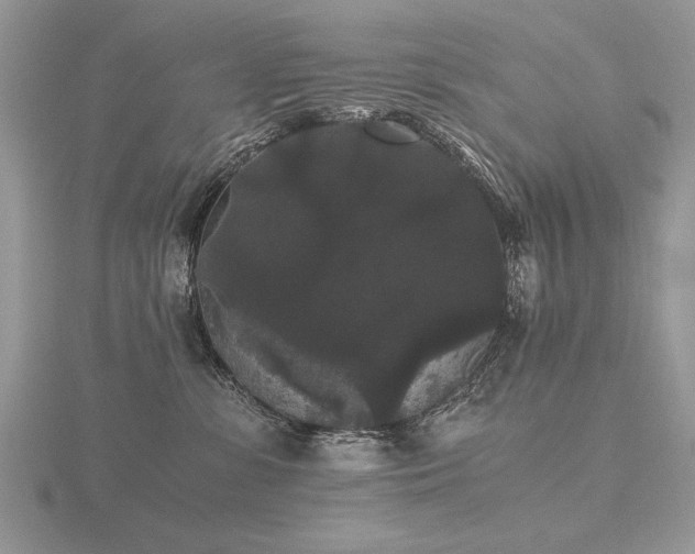 X0000116480331200912091405