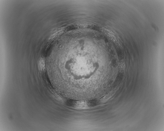 X0000116480335200912091405