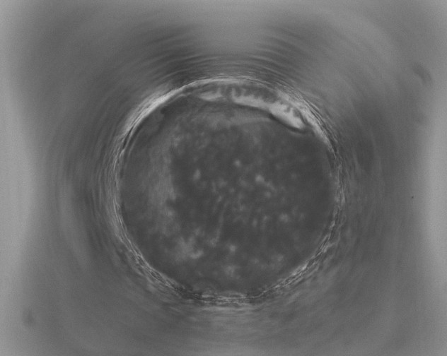 X0000116480337200912091404