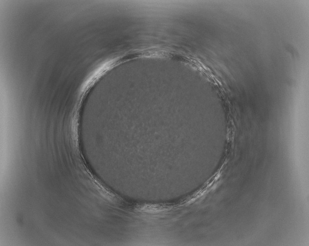 X0000116480341200912091405