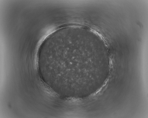 X0000116480343200912091405