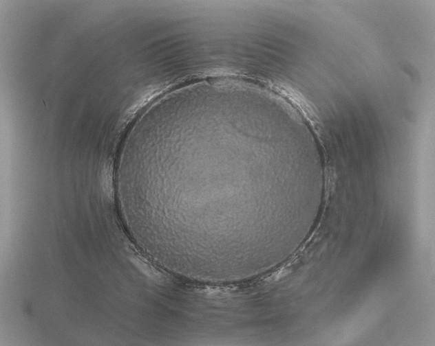 X0000116480345200912091405