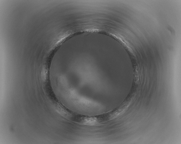 X0000116480355200912091405