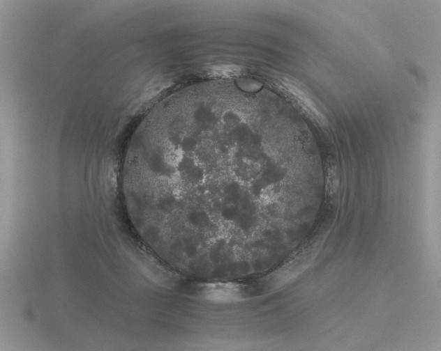 X0000116480363200912091405