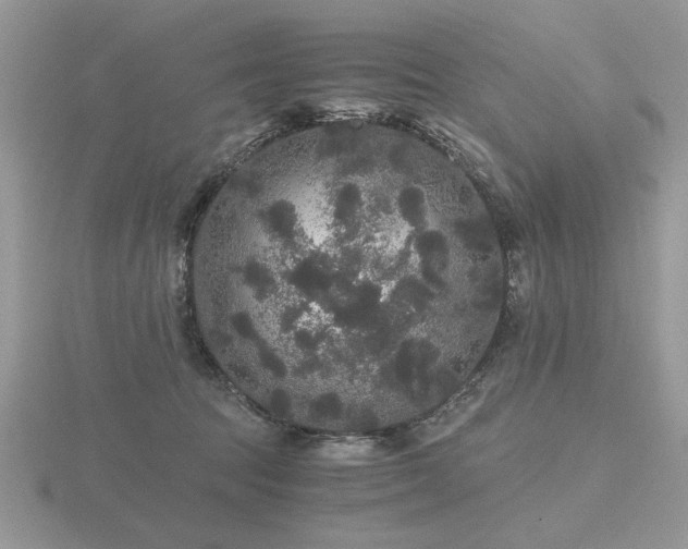 X0000116480369200912091405