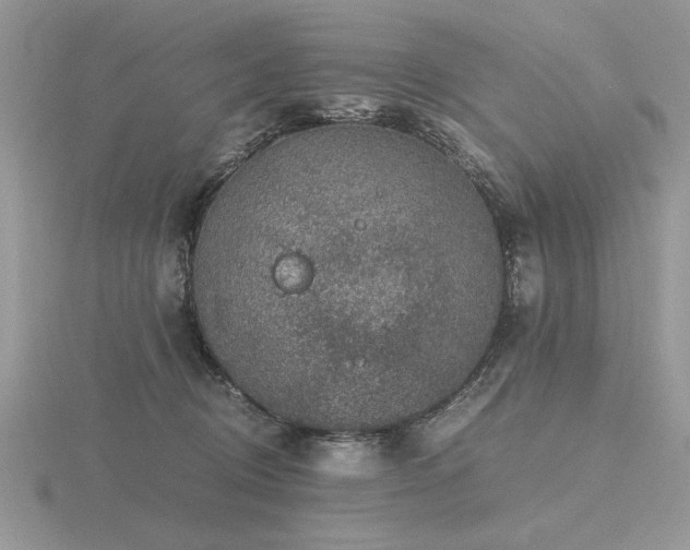 X0000116480370200912091405