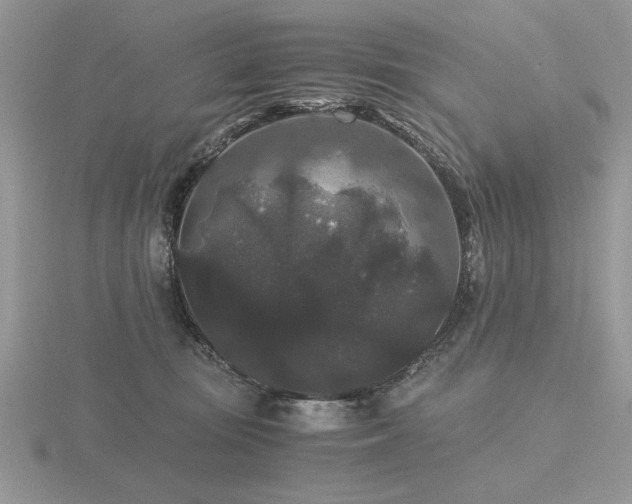 X0000116480371200912091405