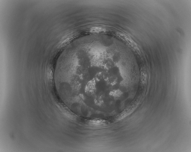 X0000116480375200912091405