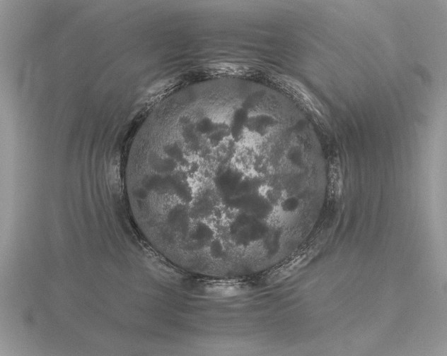 X0000116480377200912091405