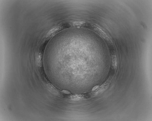 X0000116480378200912091405