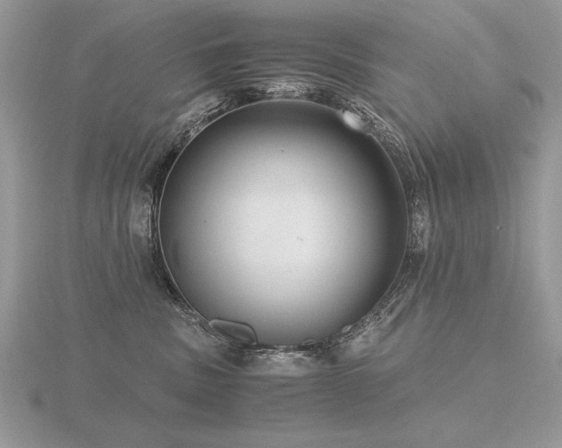 X0000116480379200912091405