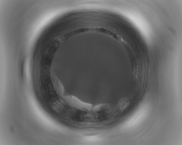 X0000116480383200912091405