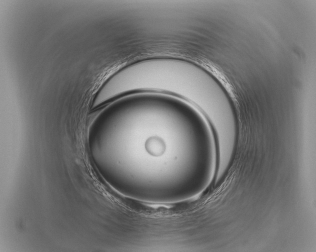 X0000116480385200912091404